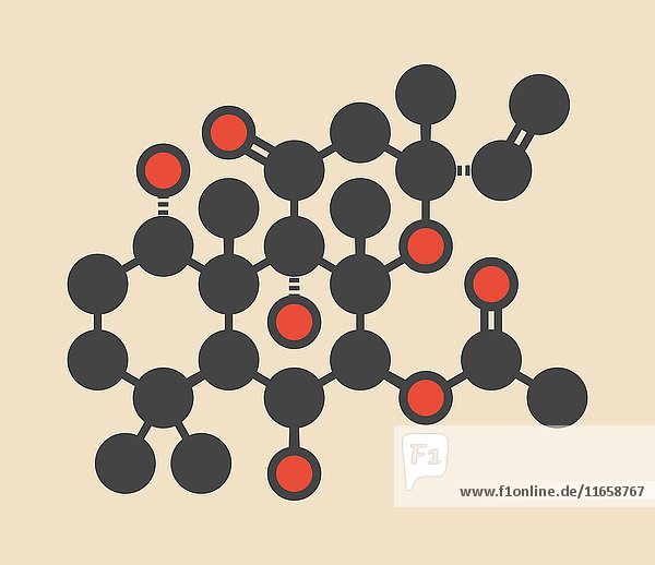 Forskolin (Coleonol) Molekül. Aktiviert das Enzym Adenylylzyklase  was zu einer Erhöhung des cAMP-Spiegels führt. Stilisierte Skelettformel (chemische Struktur): Die Atome sind als farbcodierte Kreise dargestellt: Wasserstoff (verdeckt)  Kohlenstoff (grau)  Sauerstoff (rot).