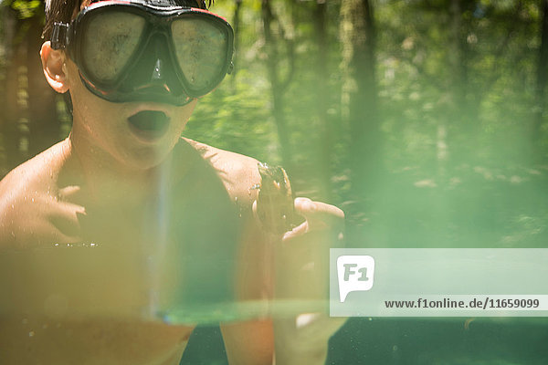 Teenager-Junge mit Schnorchel  der eine gemeine Schnappschildkröte hält  Econfina Creek  Youngstown  Florida  USA