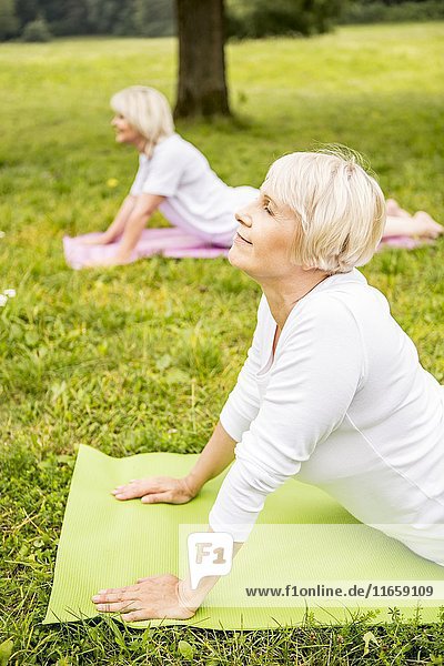 Zwei Frauen machen Yoga auf einem Feld.