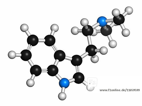 Dimethyltryptamin (DMT) psychedelisches Drogenmolekül. In dem Getränk Ayahuasca enthalten. Die Atome werden als Kugeln mit herkömmlicher Farbkodierung dargestellt: Wasserstoff (weiß)  Kohlenstoff (grau)  Stickstoff (blau).