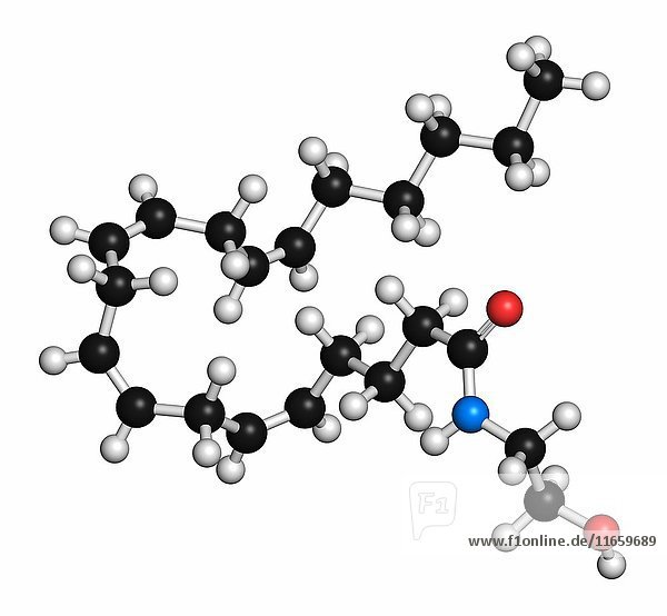 Anandamid  endogenes Cannabinoid-Neurotransmitter-Molekül. Die Atome sind als Kugeln mit herkömmlicher Farbkodierung dargestellt: Wasserstoff (weiß)  Kohlenstoff (grau)  Sauerstoff (rot)  Stickstoff (blau).