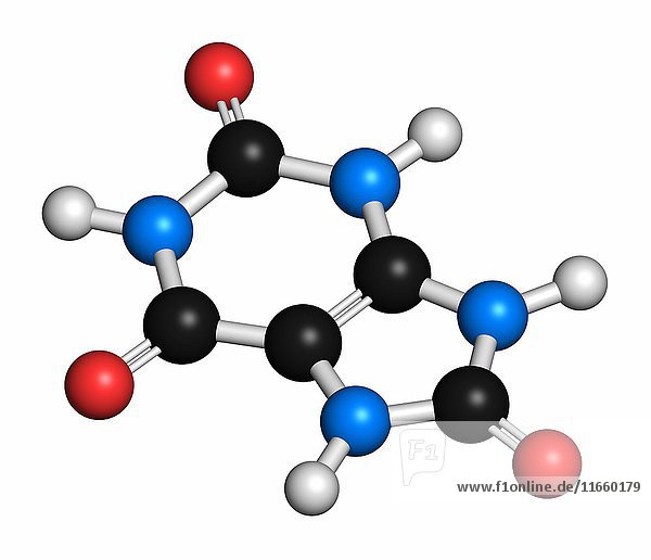Harnsäure-Molekül. Ein hoher Blutspiegel führt zu Gicht. Atome werden als Kugeln mit konventioneller Farbkodierung dargestellt: Wasserstoff (weiß)  Kohlenstoff (grau)  Sauerstoff (rot)  Stickstoff (blau).