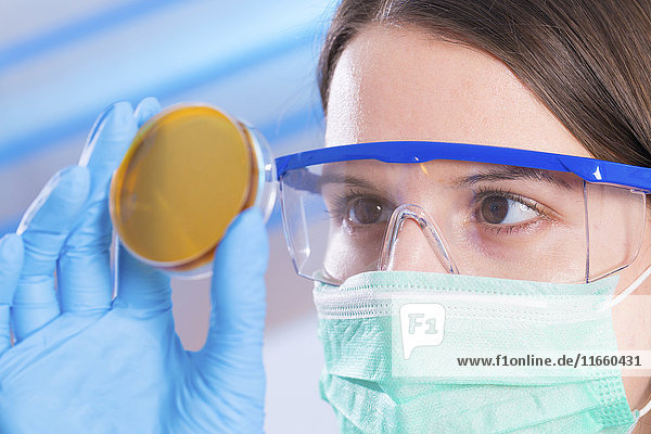 Eine Wissenschaftlerin mit Maske und Schutzbrille untersucht eine Petrischale.