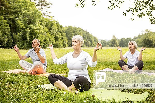 Drei Menschen machen Yoga auf einem Feld.