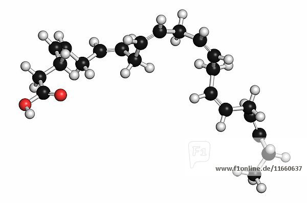 Molekül der Docosahexaensäure (DHA  Cervonsäure). Mehrfach ungesättigte Omega-3-Fettsäure  die in Fischöl enthalten ist. Die Atome werden als Kugeln mit konventioneller Farbkodierung dargestellt: Wasserstoff (weiß)  Kohlenstoff (grau)  Sauerstoff (rot).