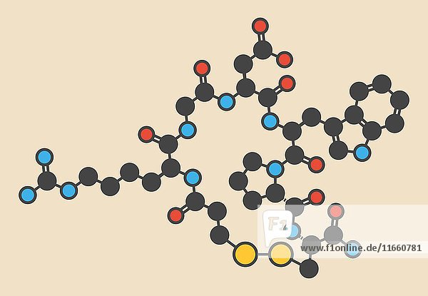 Molekül des gerinnungshemmenden Arzneimittels Eptifibatid. Stilisierte Skelettformel (chemische Struktur): Die Atome sind als farbcodierte Kreise dargestellt: Wasserstoff (verdeckt)  Kohlenstoff (grau)  Stickstoff (blau)  Sauerstoff (rot)  Schwefel (gelb).