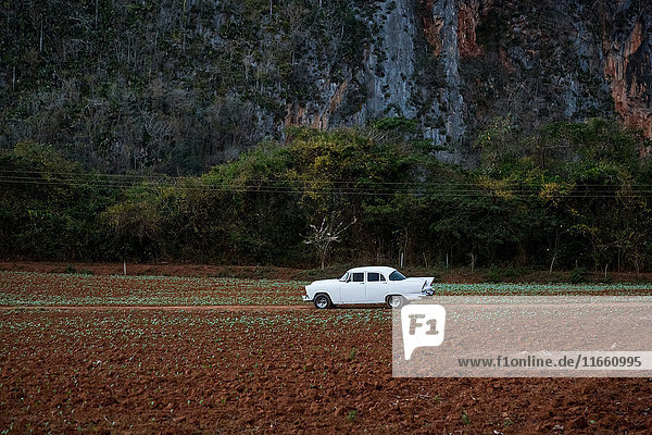 White vintage car on field dirt track Vinales Cuba