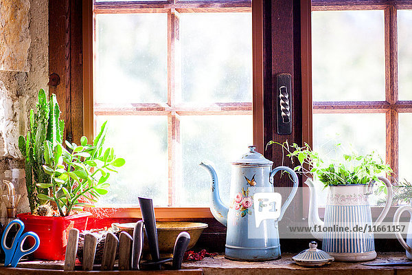 Rustikale Kaffeekannen und Topfpflanzen auf der Küchenfensterbank