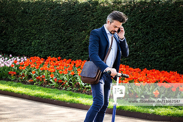 Geschäftsmann auf dem Roller vorbei am Tulpenbeet,  London,  UK