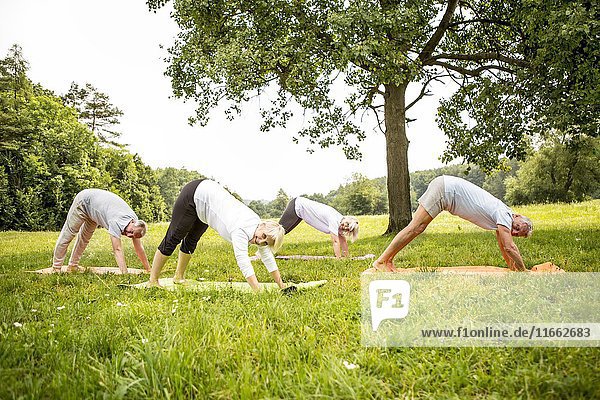 Four people doing yoga in field.