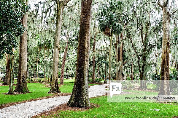Florida  Winter Park  Orlando  Kraft Azalea Garden  public park  cypress trees  moss  bench  path