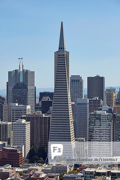 Transamerica Pyramid in San Francisco  California  USA.