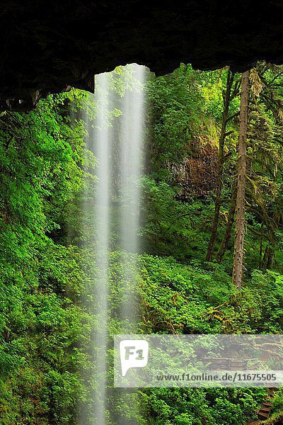 Shellburg Falls along Shellburg Falls Trail  Santiam State Forest  Oregon.