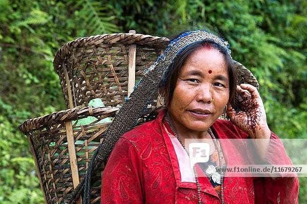 Nepali woman at working in the rice paddies in Bungamati  around Kathmandu Valley  Nepal.