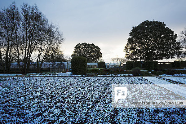 Der Garten im Winter in Le Manoir aux Quat'Saisons  Oxfordshire.
