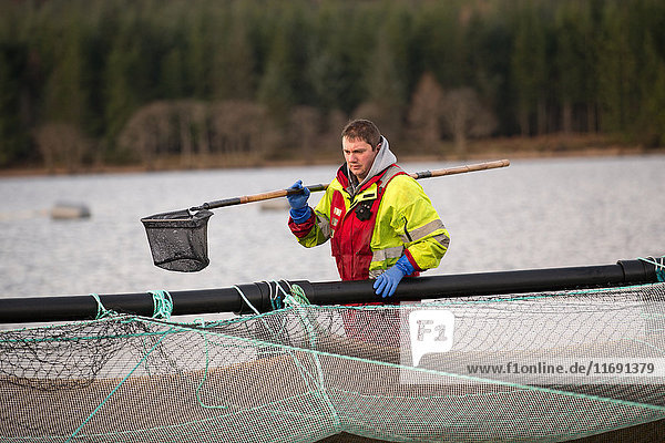 Workers on salmon farm in rural lake