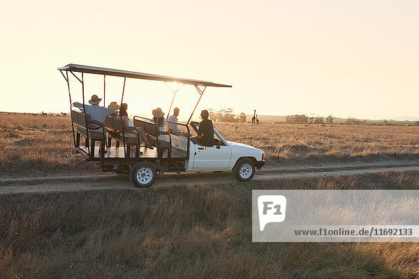 Menschen auf Safari im Geländewagen  Stellenbosch  Südafrika