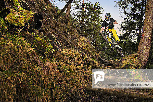 Male mountain biker riding down forest steps