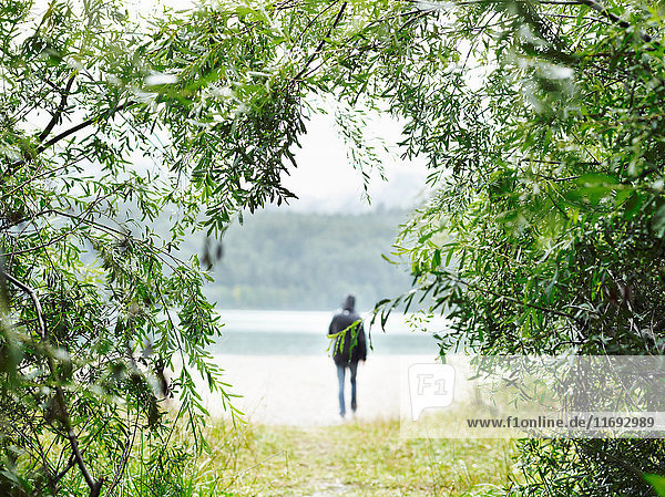 Hiker walking by rural lake
