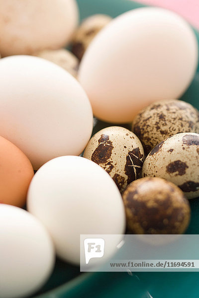 Nahaufnahme von verschiedenen bunten Eiern