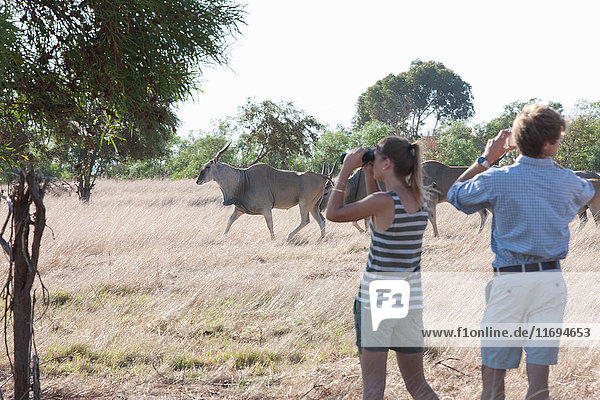 Ehepaar auf Safari  Stellenbosch  Südafrika