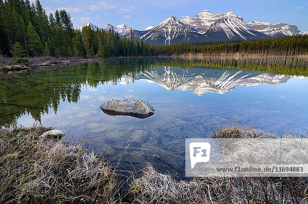 Herbert Lake and Bow Range  Banff National Park  Alberta  Canada