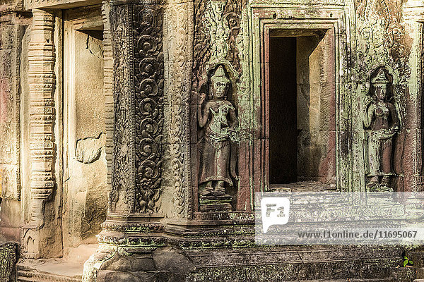 Schnitzereien in den Ruinen des Ta Prohm-Tempels in Angkor Wat  Siem Reap  Kambodscha