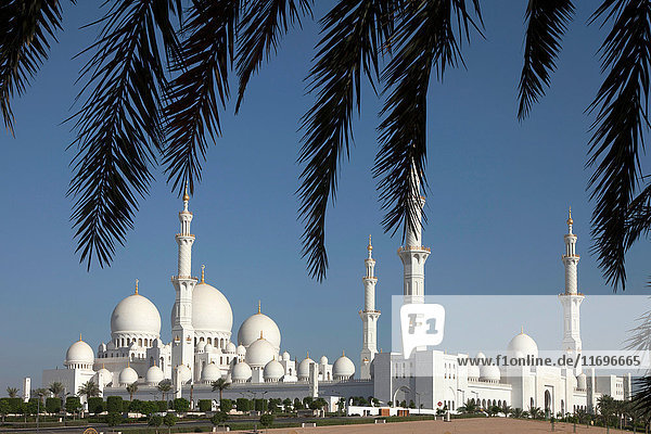 Große Moschee von unterm Baum betrachtet