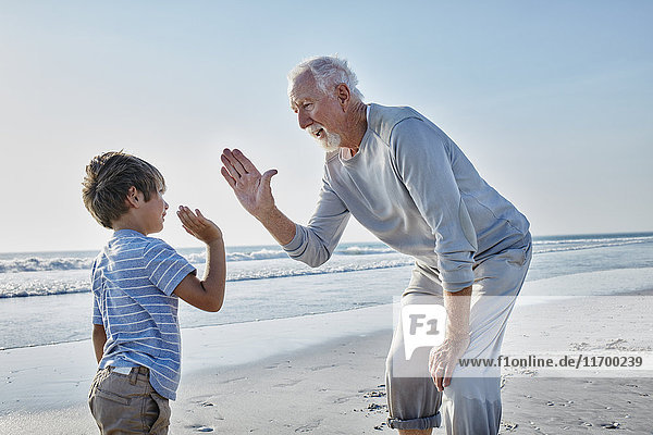 Grandfather and grandson high fiving on the beach