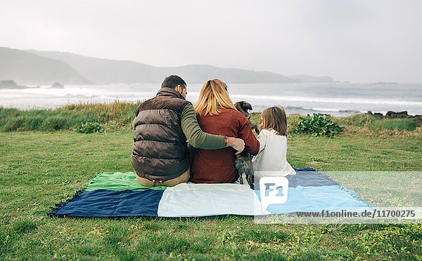 Rückansicht der Familie mit Hund auf Decke an der Küste
