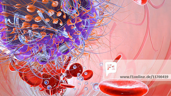 Virus mit Erythrozytenzellen und Sauerstoff im Blutkreislauf  3D-Rendering