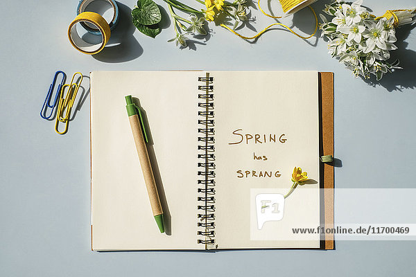 Notizbuch,  Bürobedarf und Frühlingsblumen auf hellblauem Hintergrund