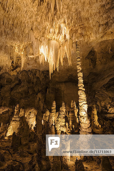 USA  New Mexico  Carlsbad Caverns