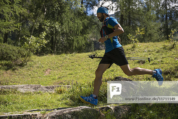 Italy  Alagna  trail runner on the move in forest