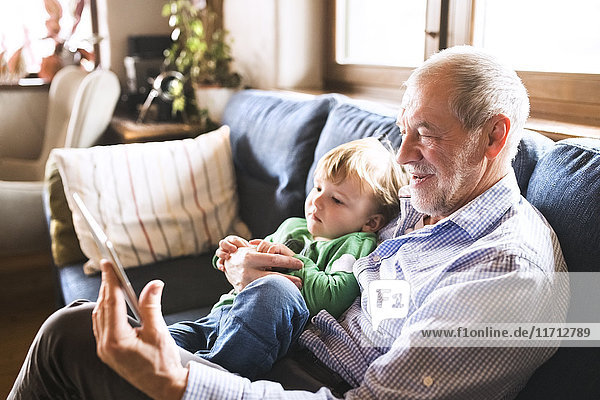 Grandfather and grandson sitting on couch  using digital tablet