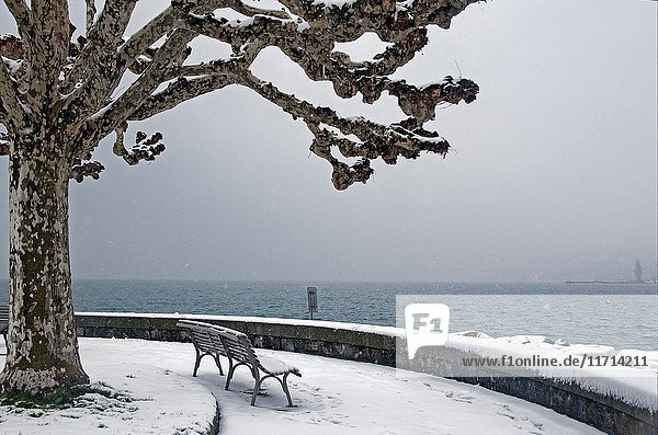Winter at Geneva Lake,  Geneva,  Switzerland,  Europe