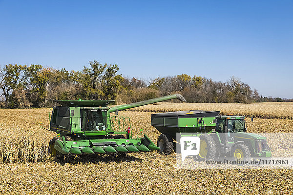 'Harvesting corn near Rake; Iowa United States of America'