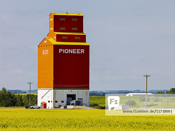 Ein roter Getreidesilo in der Prärie; Olds  Alberta  Kanada .