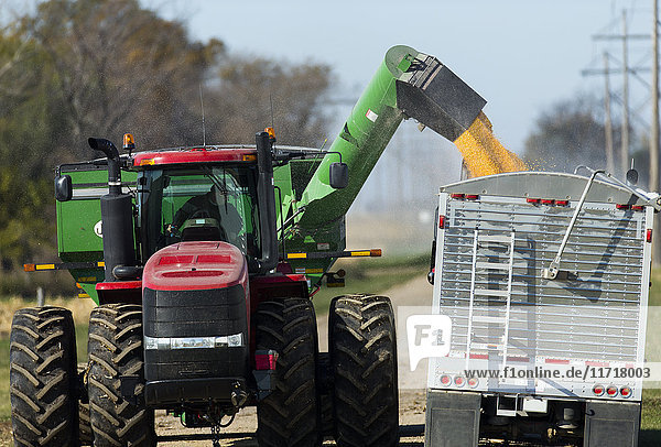 Ein Landwirt erntet seine Maisernte in der Nähe von Groton; South Dakota  Vereinigte Staaten von Amerika'.