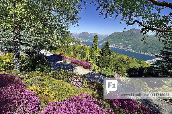 Blick vom Parco San Grato auf den Luganersee mit Seedamm von Melide  Carona  Lugano  Kanton Tessin  Schweiz  Europa