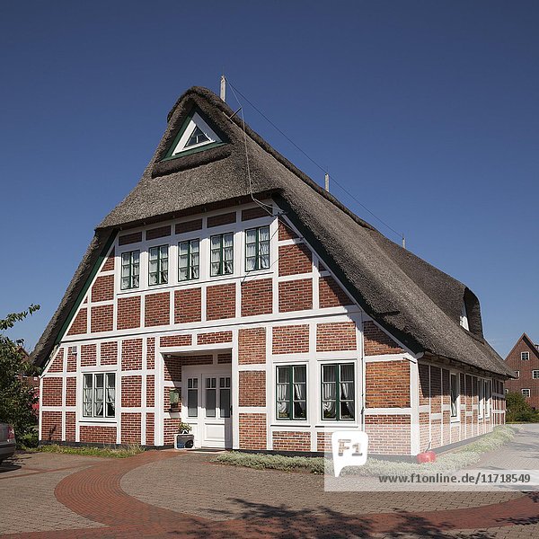 Typisches Fachwerkhaus  Reetdachhaus  Apfelhof  Jork  Altes Land  Niedersachsen  Deutschland  Europa