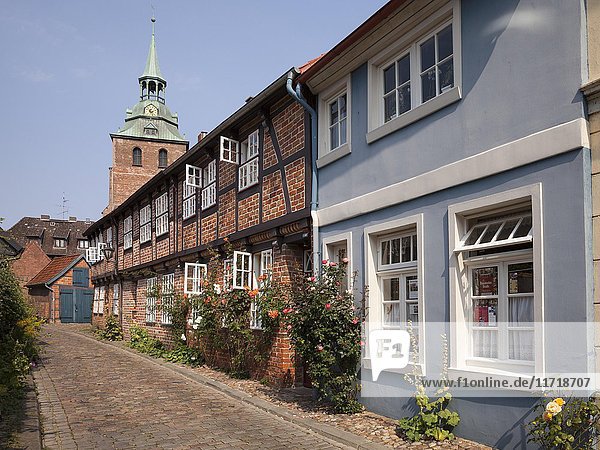 Häuser im Ziegel Gotik  Kirche St. Michaelis hinten  historisches Zentrum  Lüneburg  Niedersachsen  Deutschland  Europa
