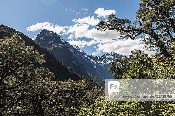 Blick auf Berge  Mount Lytte  Fiordland National Park  Südliche Alpen  Region Southland  Southland  Neuseeland  Ozeanien