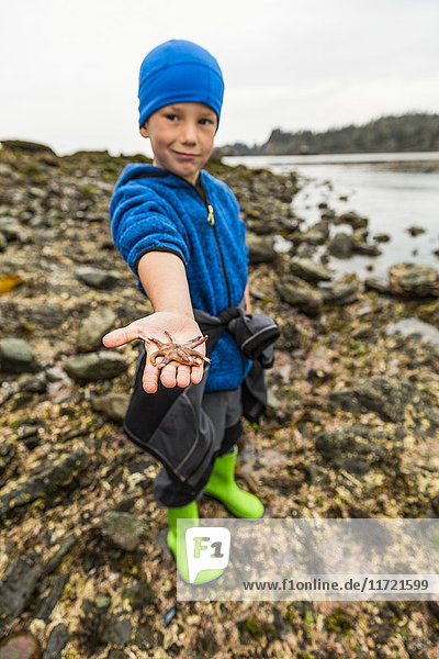 Kleiner Junge zeigt einen großen Seestern  Hesketh Island  Süd-Zentral-Alaska  USA
