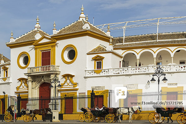 Plaza del Toros de la Real Maestranza de Caballería de Sevilla  auf dem Paseo Cristobal Colon; Sevilla  Andalusien  Spanien'.