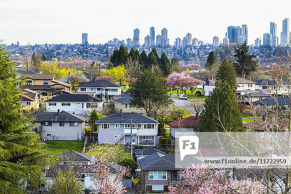 Nördliche Vororte von Burnaby mit Blick auf die Innenstadt von Burnaby im Hintergrund im zeitigen Frühjahr  einem Teil des Großraums Vancouver und einem Brennpunkt für boomende Immobilien und Entwicklung; Burnaby  British Columbia  Kanada