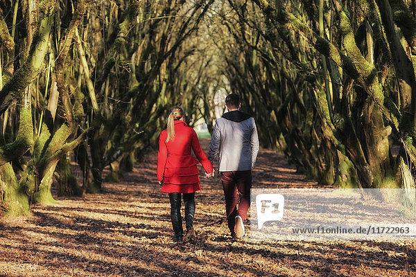 'A young couple walks in a park down a trail holding hands; Oregon  United States of America'