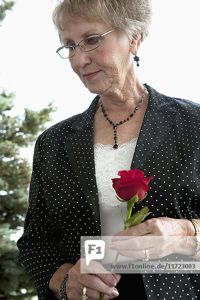 Porträt einer Frau  die eine einzelne rote Rose hält; Edmonton  Alberta  Kanada'.