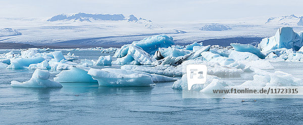 Ein schöner  sonniger Tag zeigt die majestätischen Rieseneisberge in diesem Panoramablick auf die Gletscherlagune; Jokulsarlon  Island'.