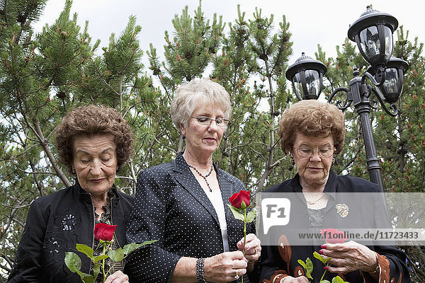 Drei Frauen halten einzelne rote Rosen; Edmonton  Alberta  Kanada'.